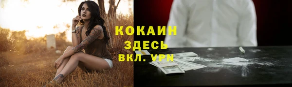 СК Абинск