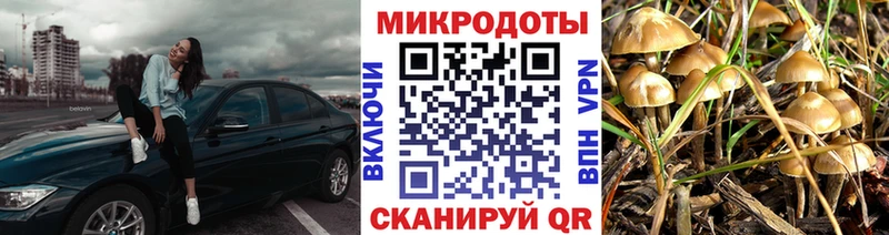Галлюциногенные грибы MAGIC MUSHROOMS mega зеркало Тейково нарко площадка официальный сайт магазин продажи